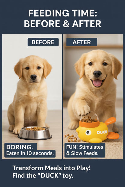 Dog Food Feeder Cartoon Duck